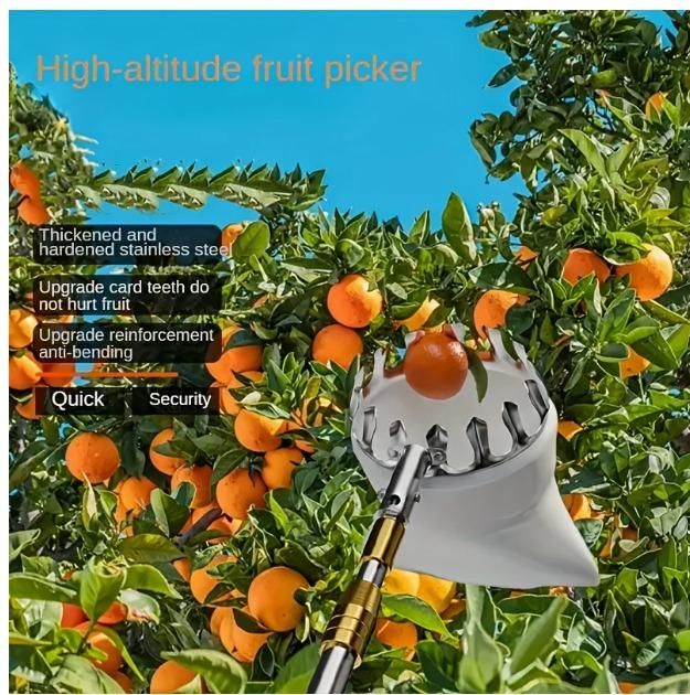 Fruit picker